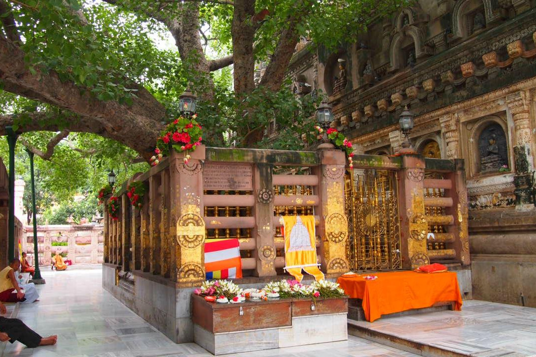 Bodhi Tree景点图片