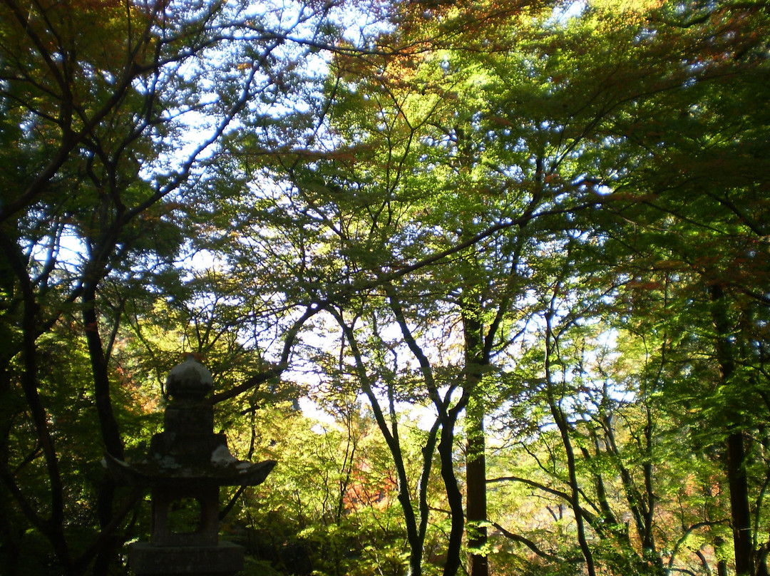 Niiyama Shrine景点图片