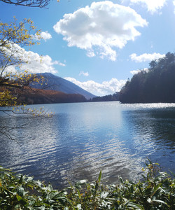 Senjogahara Field景点门票图片