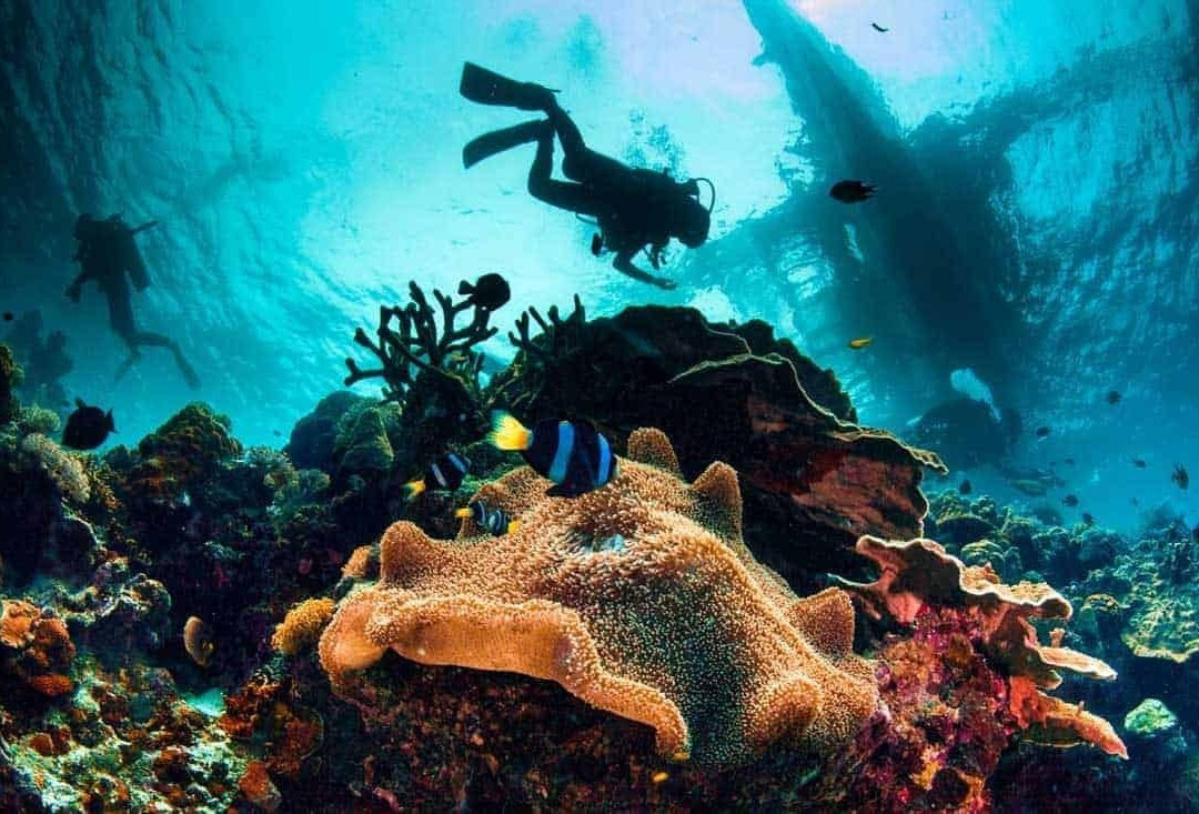 Dive Port Barton景点图片