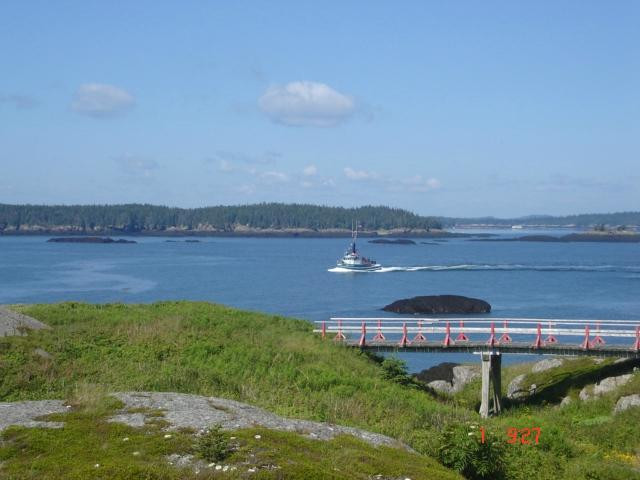 Pea Point Island Lighthouse景点图片