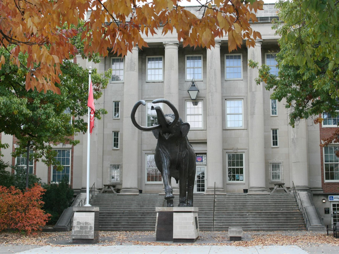 内布拉斯加大学博物馆景点图片