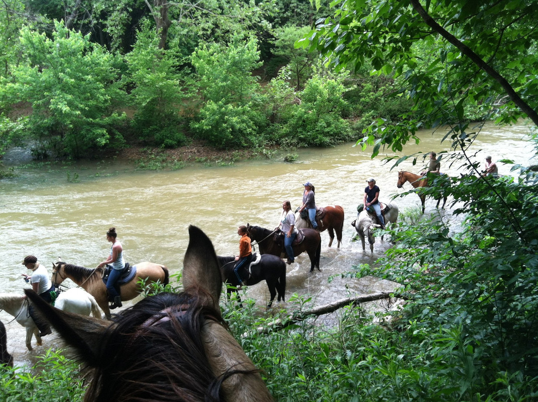 Flying Q-费耶特维尔必去景点