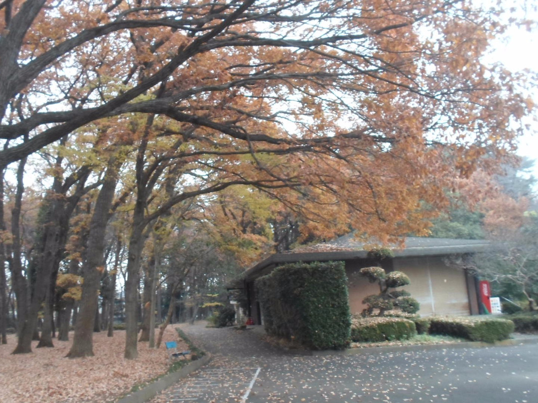 上尾市旅游景点-Saitama Water Park