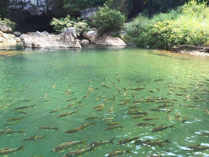 See Laos Differently - Day Tours-万象必去景点