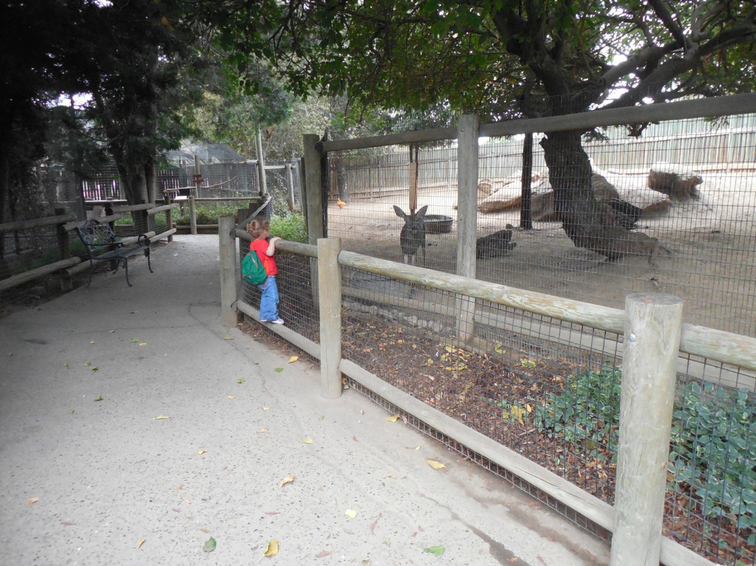 Applegate Park Zoo景点图片