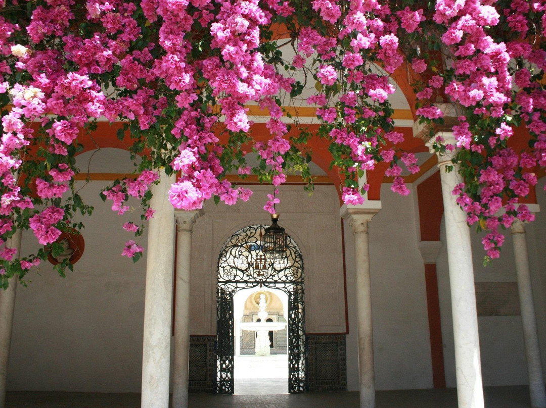 Malaga Private Day Trips景点图片