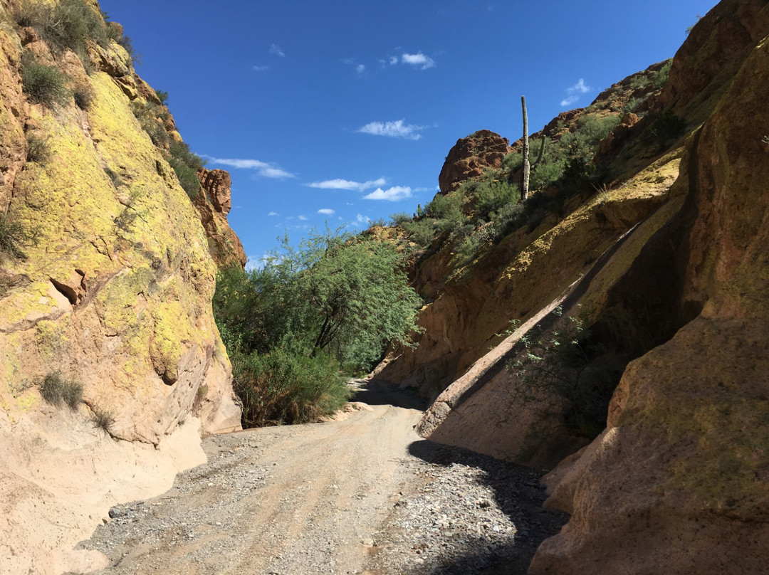 Arizona ATV Adventure Tours-Oro Valley必去景点