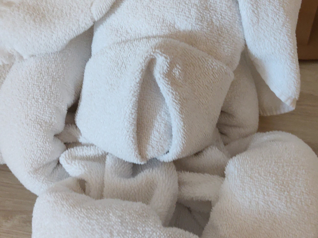 Flat de luxo com Vista espetacular. Camareira.