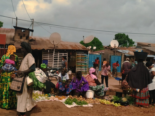 Ecotours Senegal-达喀尔必去景点