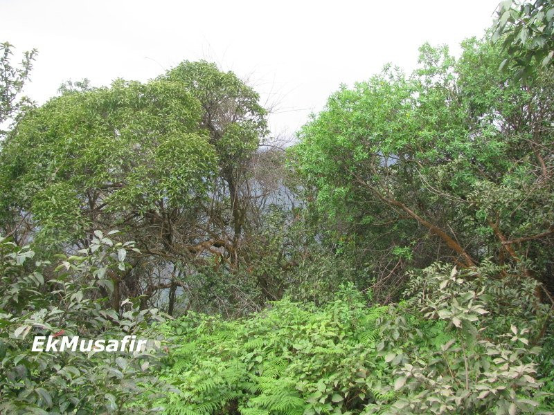 Babbington Point景点图片