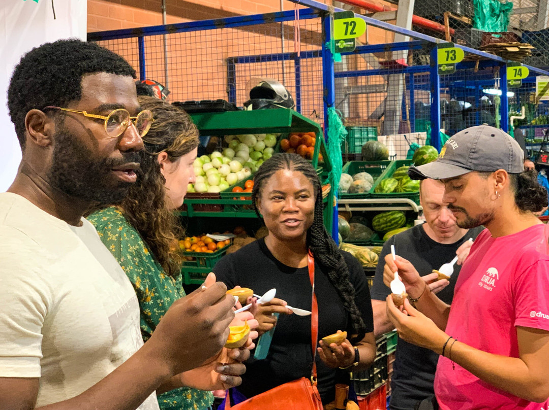 Drua Journeys-麦德林必去景点