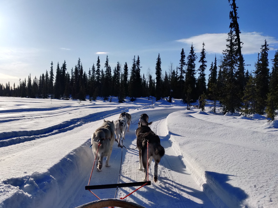 Rami's Huskies-Kittilä必去景点