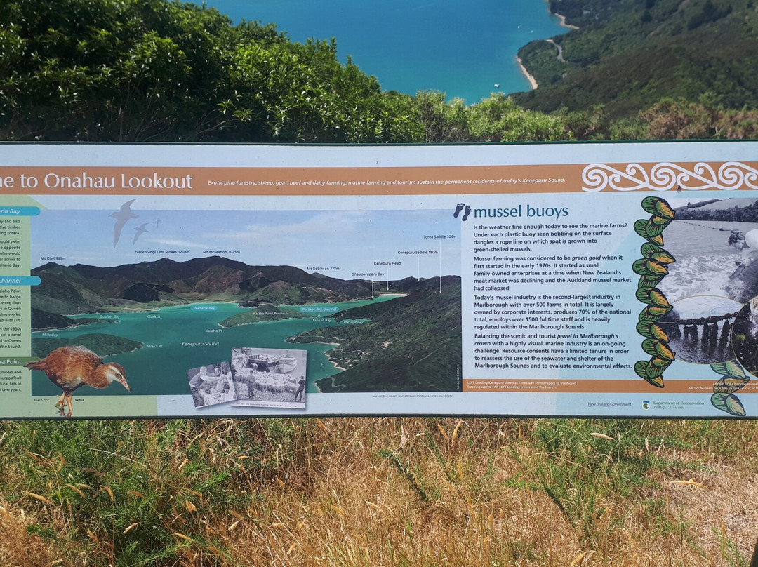 Onahau Point Lookout-Te Mahia必去景点