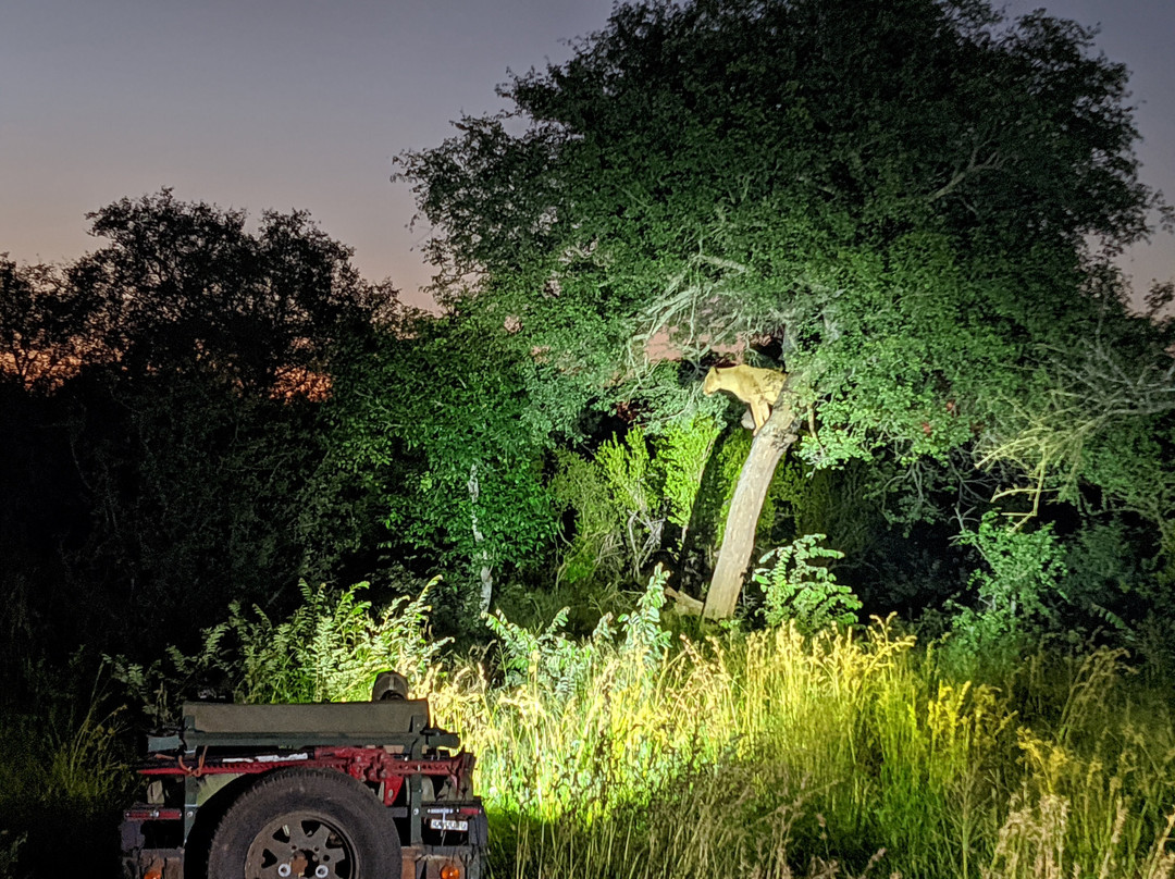 Crossroads Safaris & Tours-克鲁格国家公园必去景点