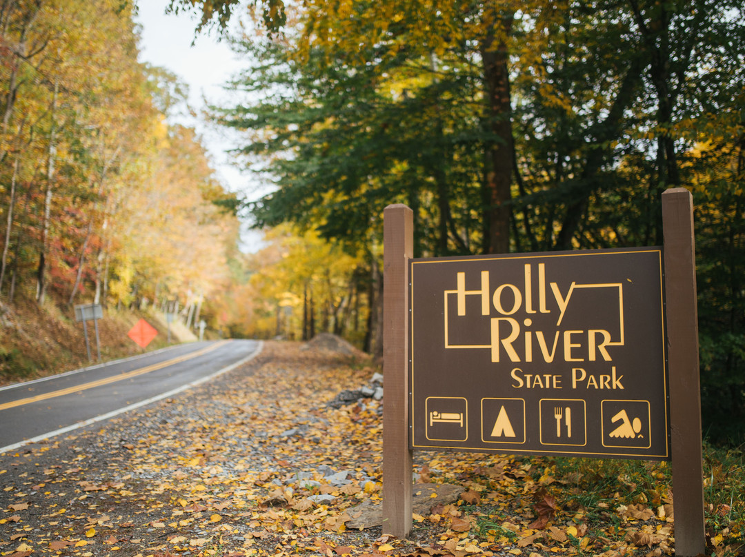 Holly River State Park景点图片