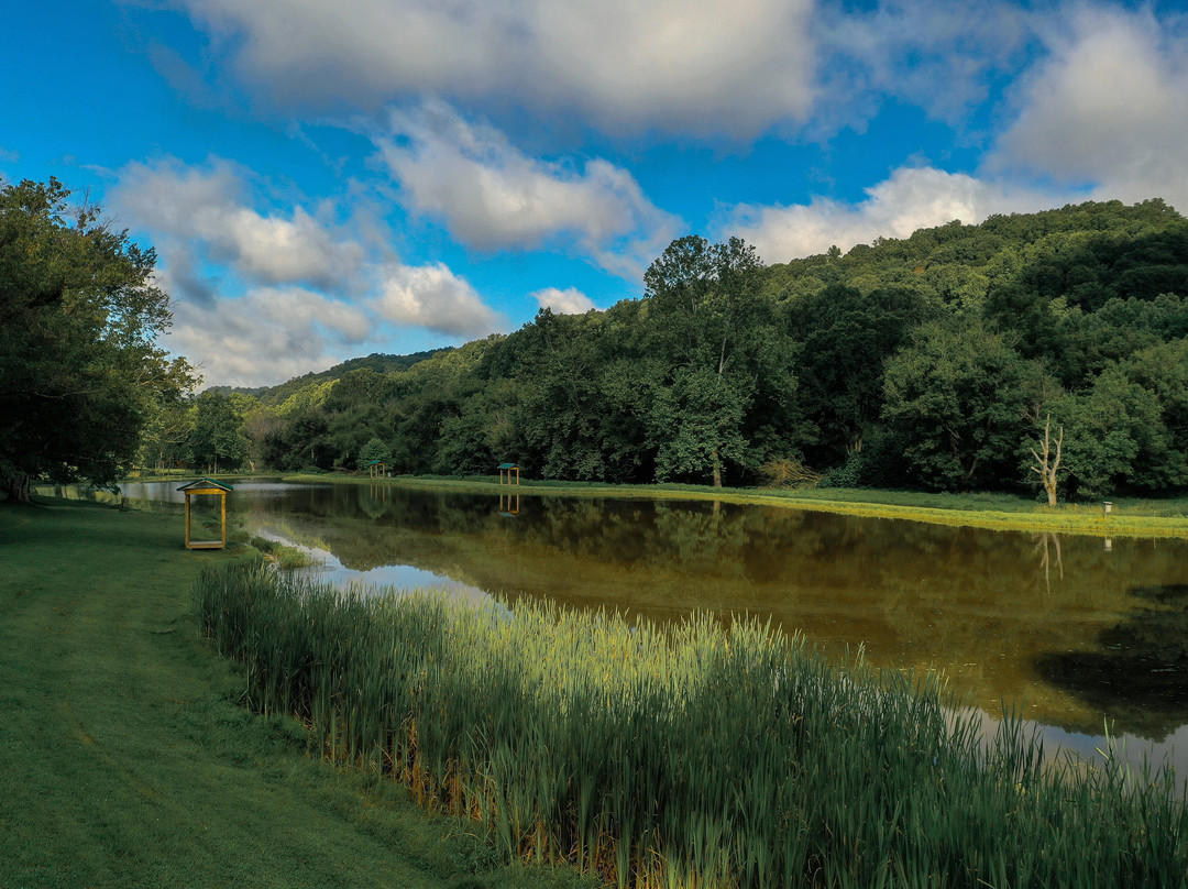 Cedar Creek State Park-Glenville必去景点