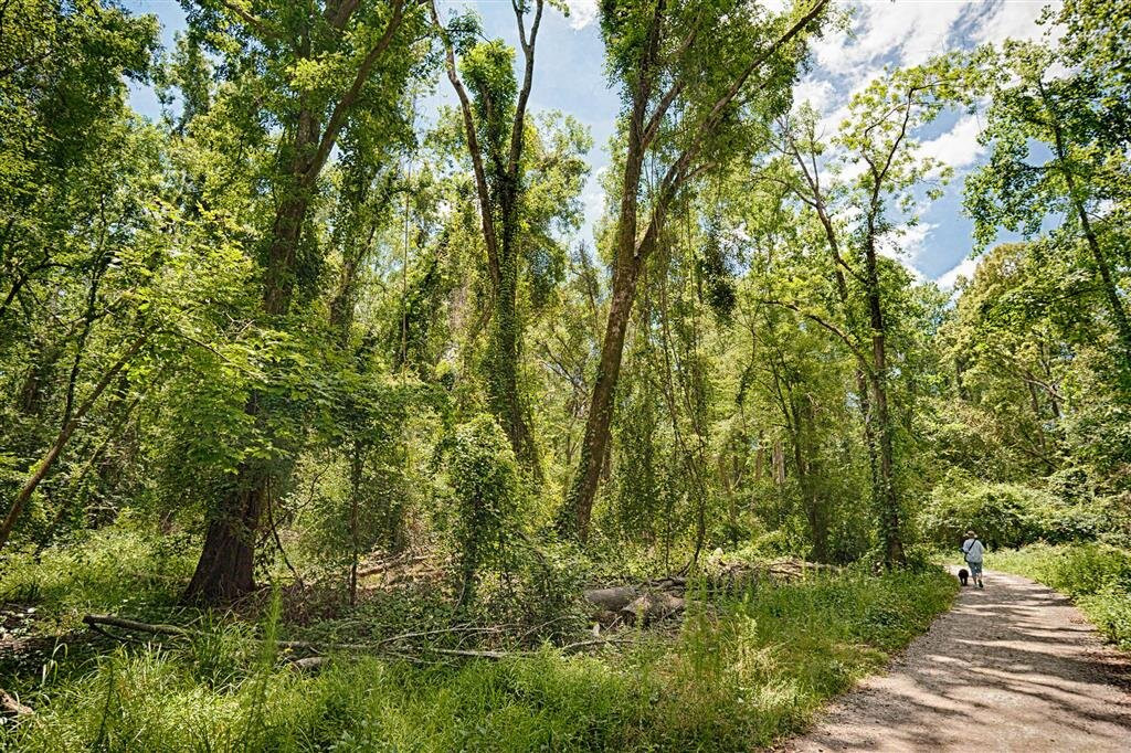 格林维尔贝斯特韦斯特普勒斯套房酒店主图