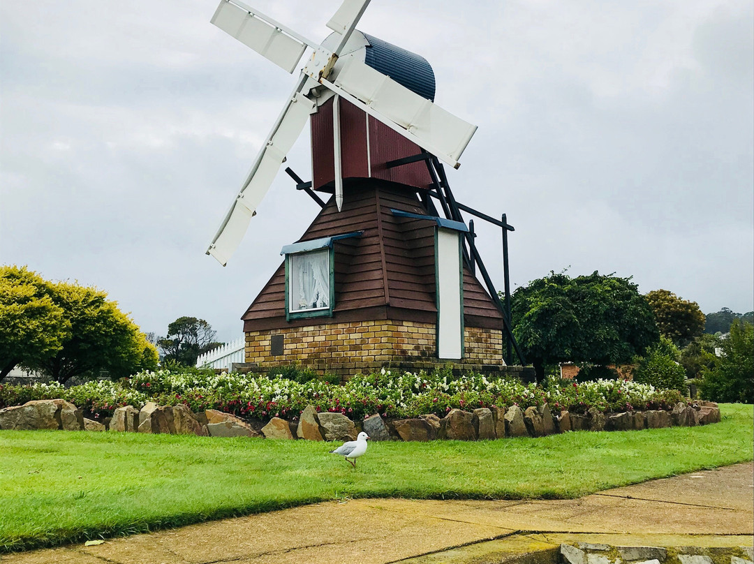 Hiscutt Park-企鹅岛必去景点