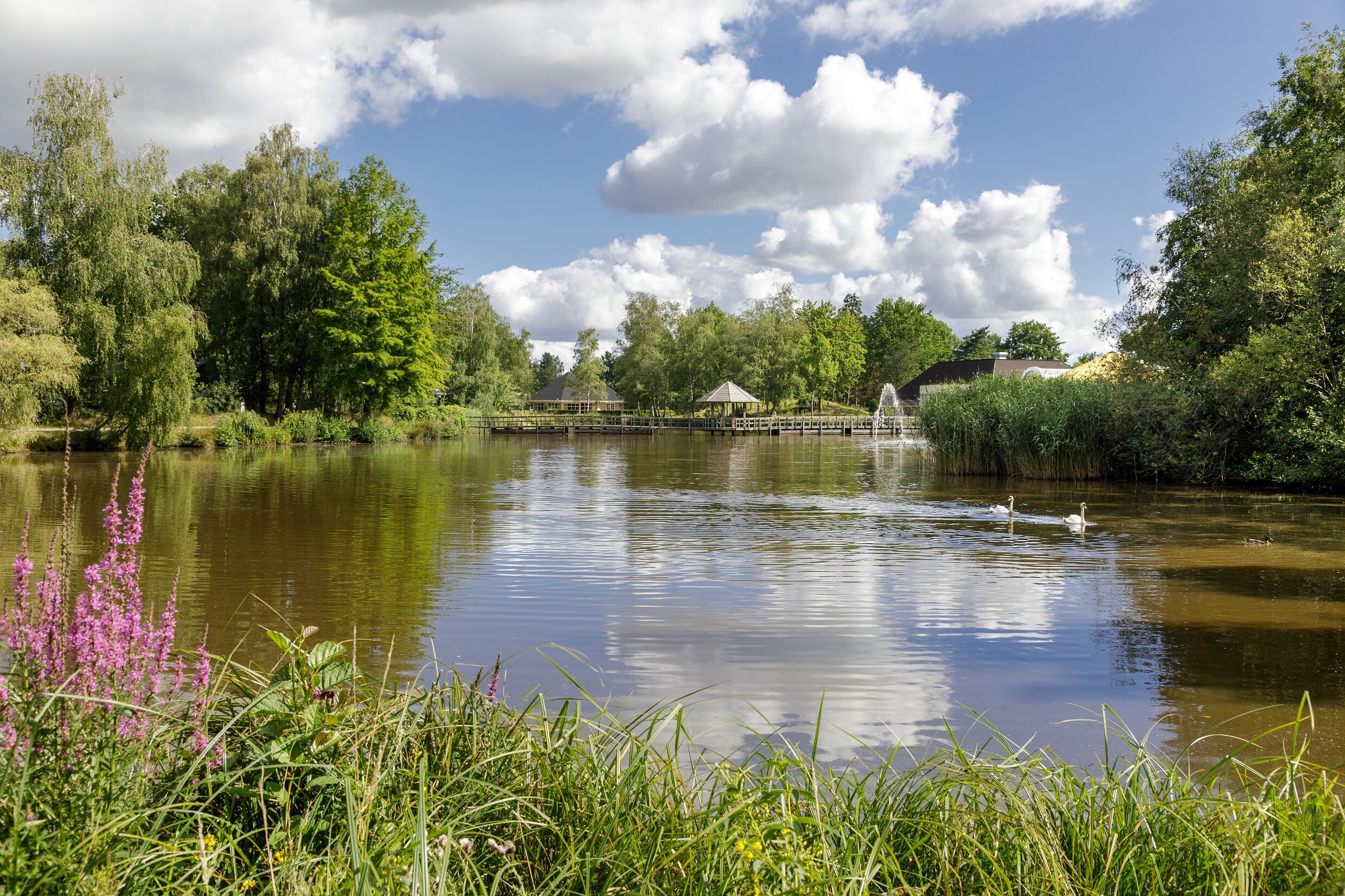 Center Parcs Limburgse Peel-官方