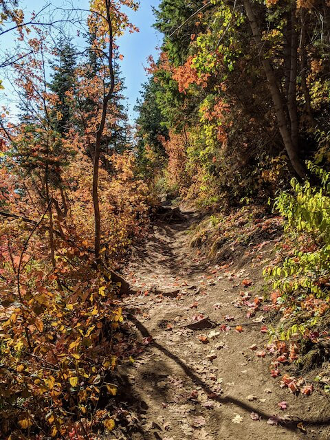 Stewart Falls-日舞必去景点