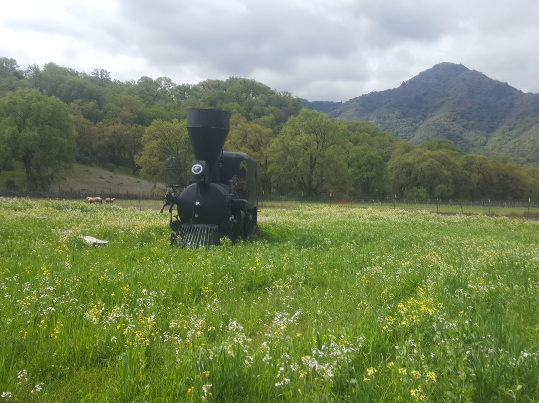 Terra Savia Winery-Hopland必去景点