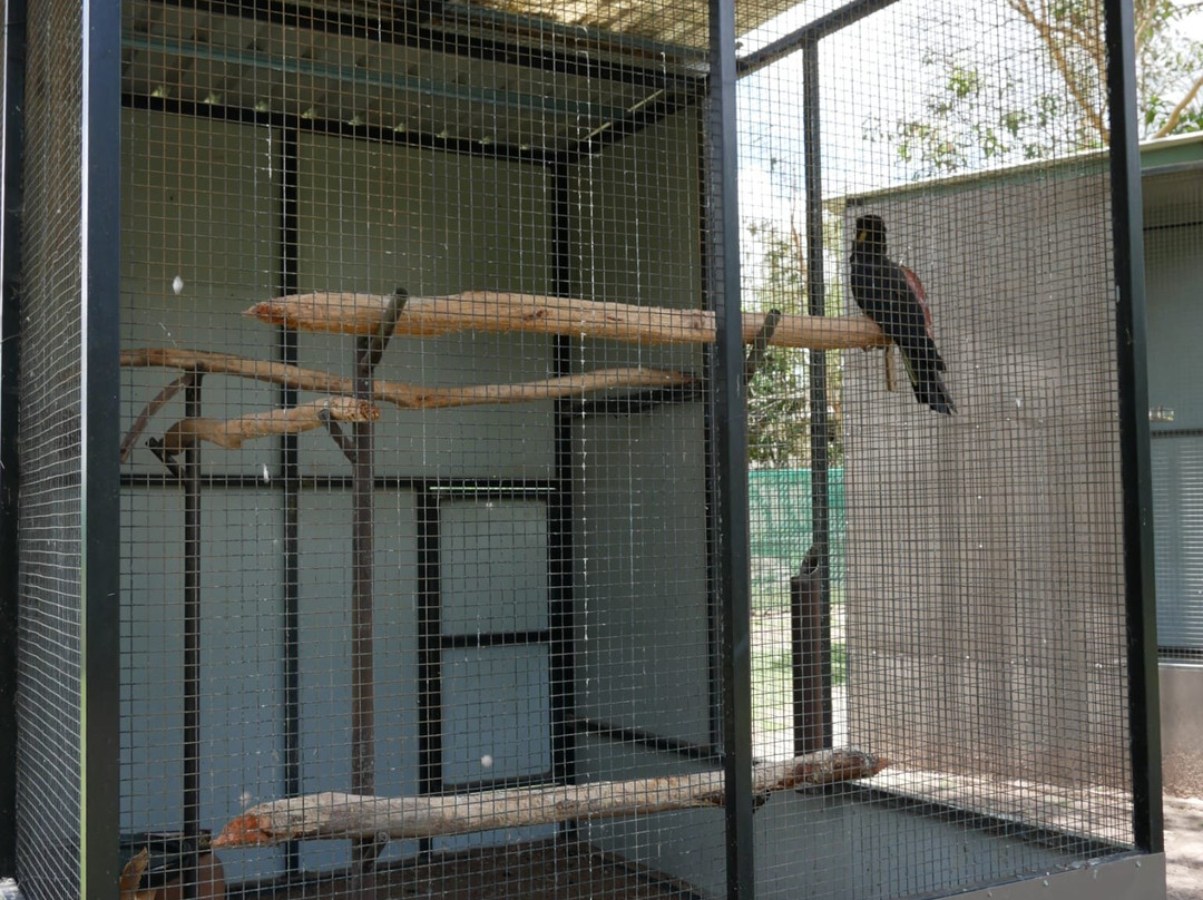Fraser Coast Wildlife Sanctuary-Maryborough必去景点