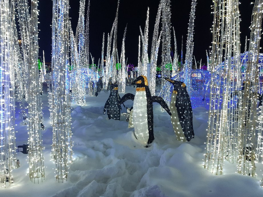 Illumi Par Cavalia-拉瓦尔必去景点