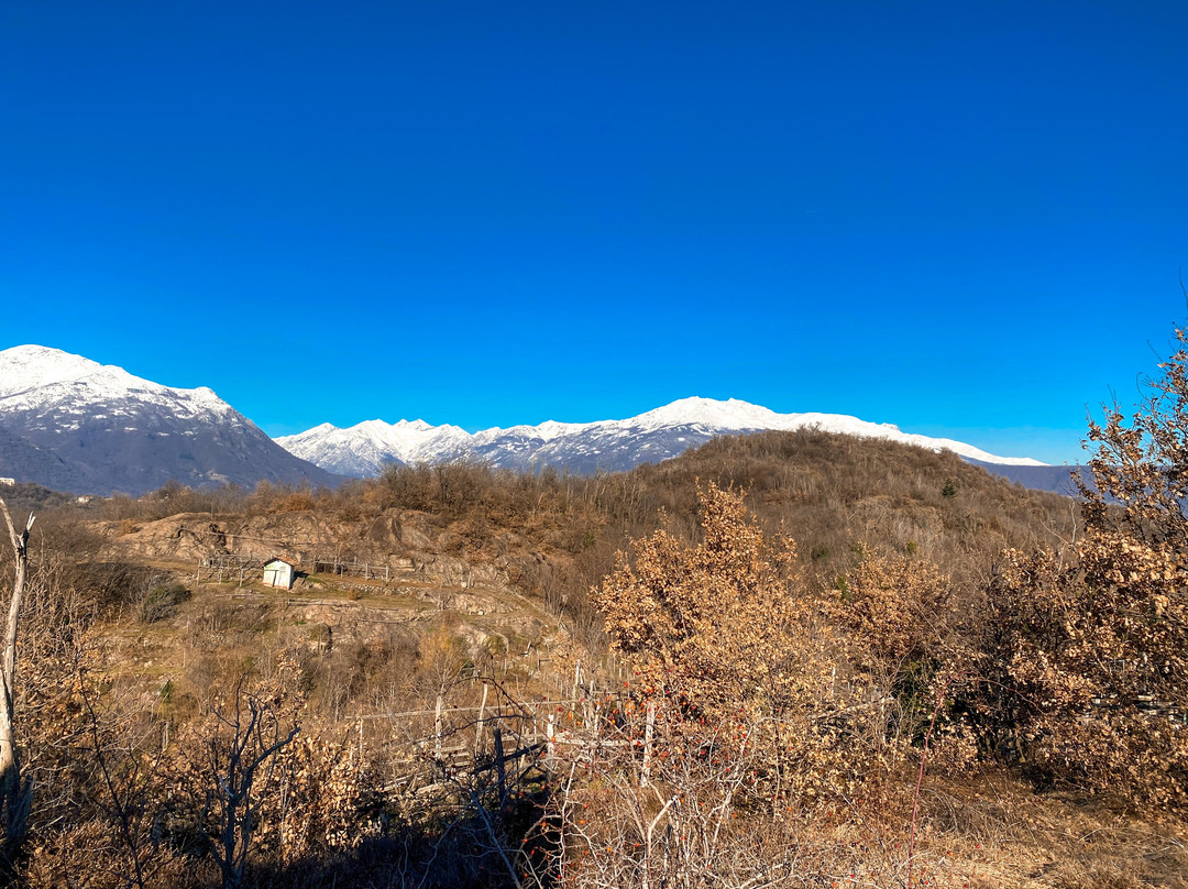 Chiesa di San Grato景点图片