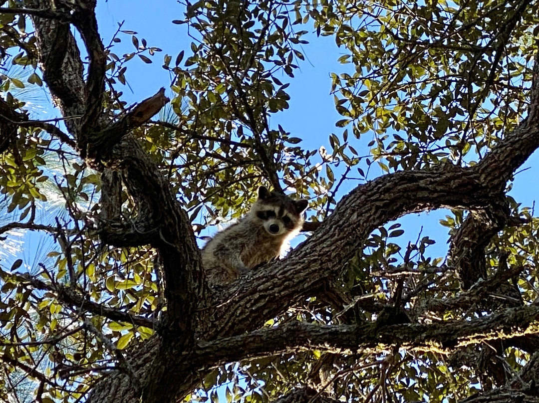 Juniper Prairie Wilderness-奥卡拉必去景点