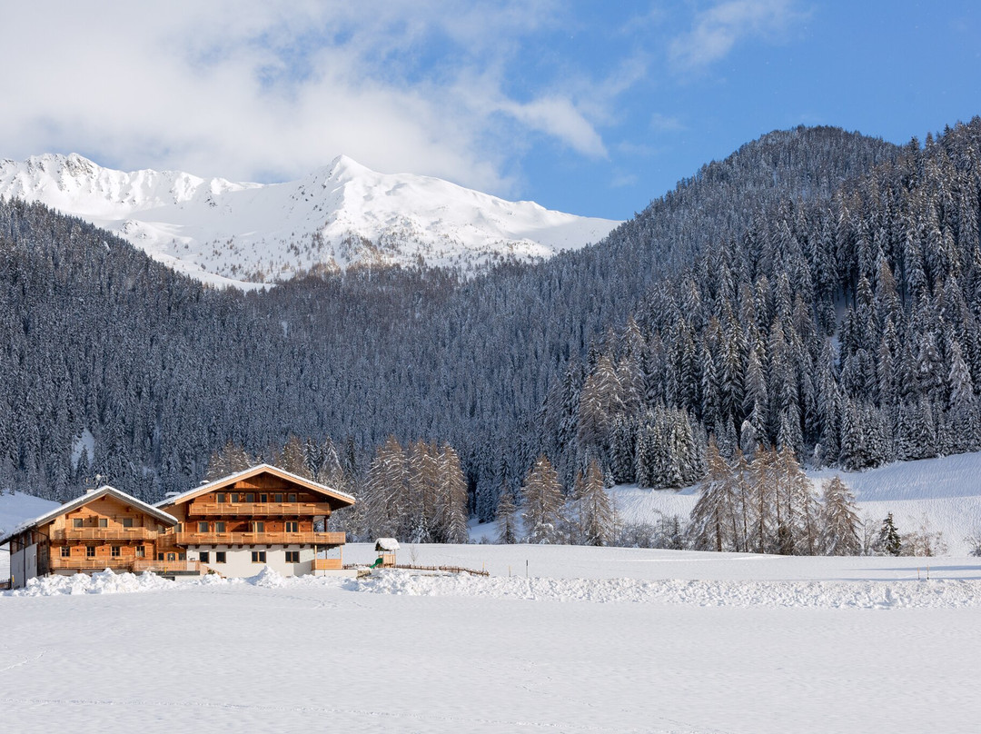 Residence Alpina