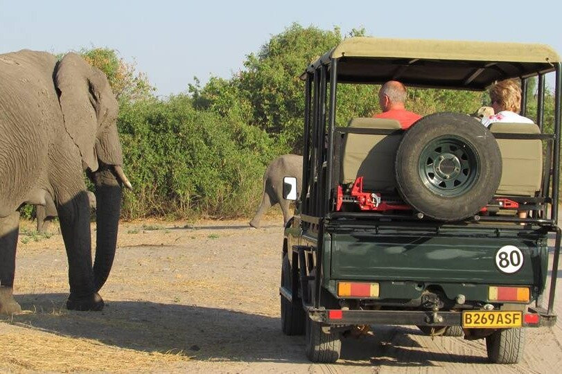 Drift Africa Tours-卡萨尼必去景点