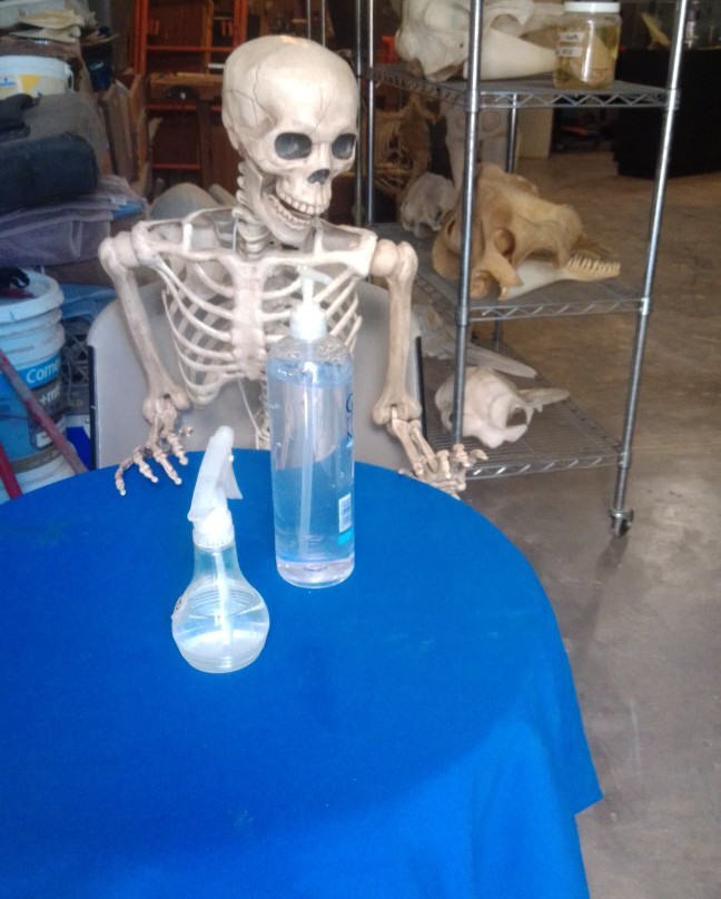 Taller De Osteología Museo De La Ballena-拉巴斯必去景点