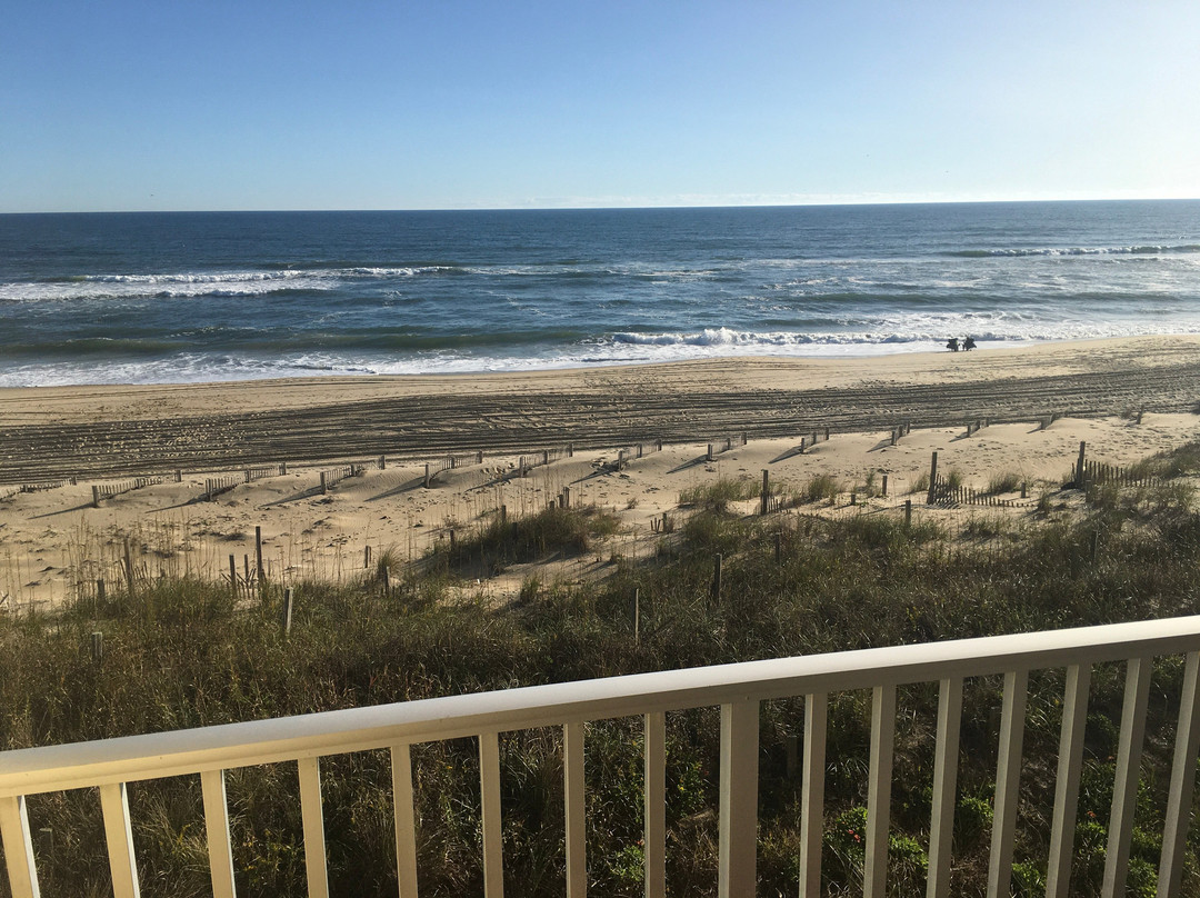 Surf Side Hotel主图