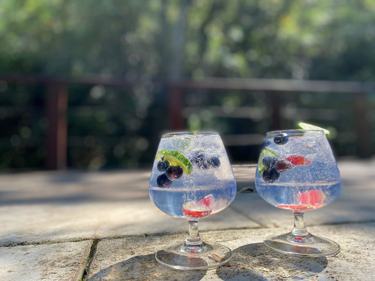 Serenity Mountain and Forest Lodge主图