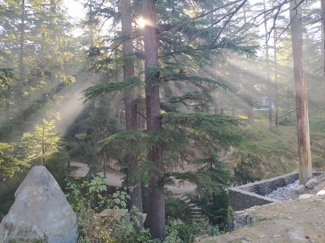 Country Resort Khajjiar主图