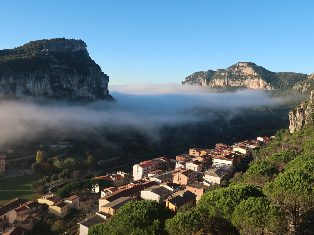 B&B Taccu Maccu主图