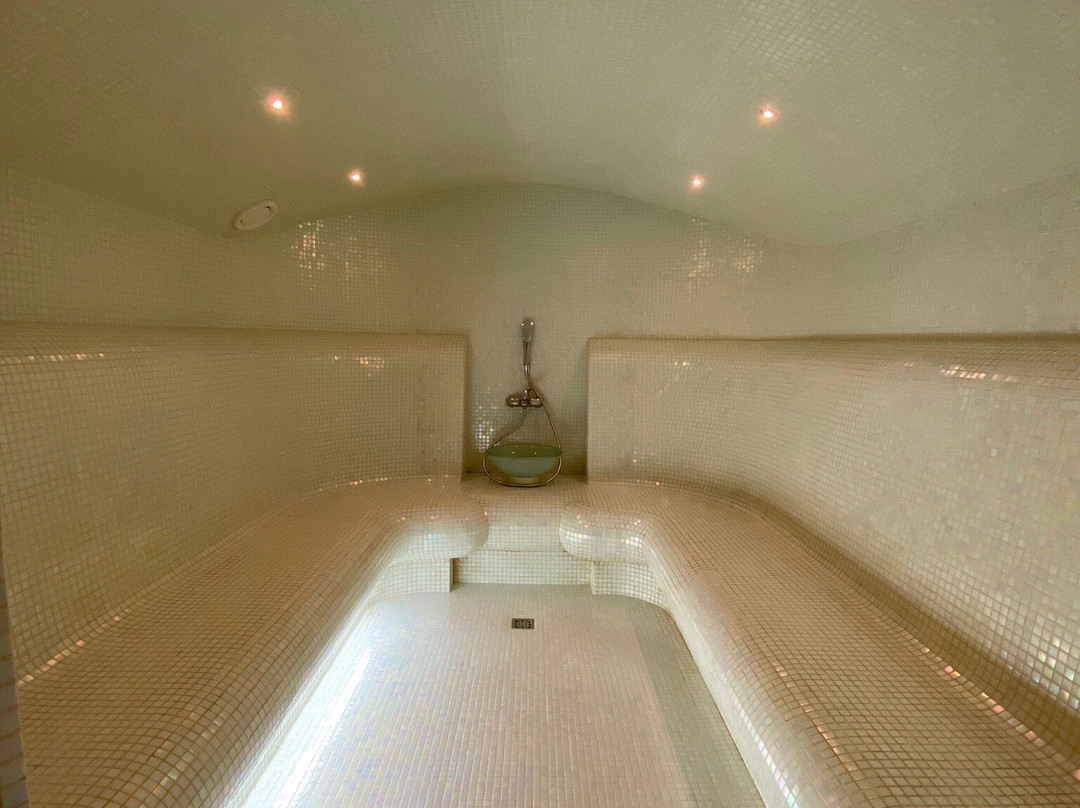 GREEN HOUSE Detox & SPA Hotel主图