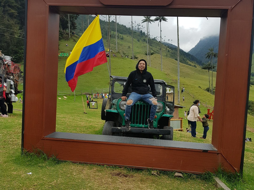 Valle del Cocora-萨伦托必去景点
