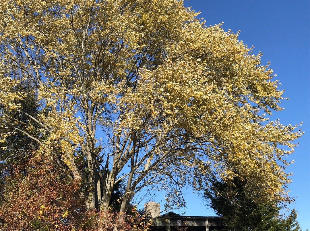 Siloam Springs State Park-Clayton必去景点