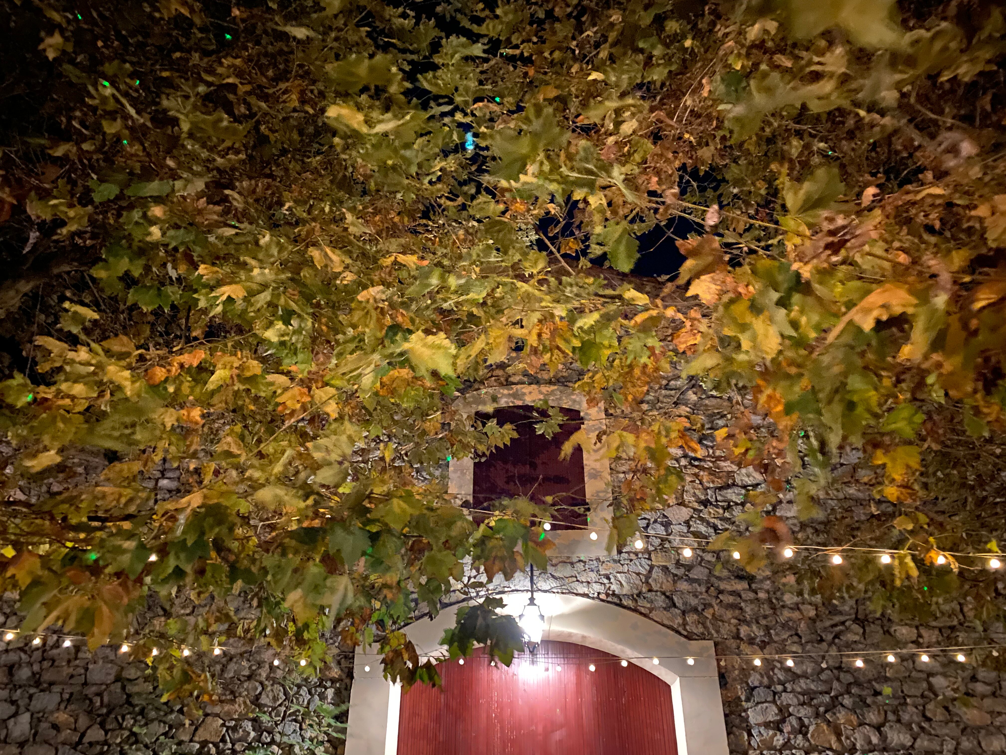 Relais de Laval-家庭/游戏区
