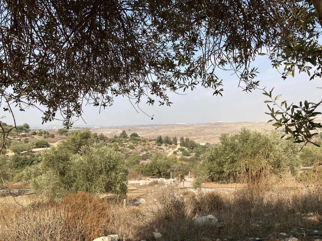 Neot Kedumim Biblical Landscape Reserve-Modiin必去景点