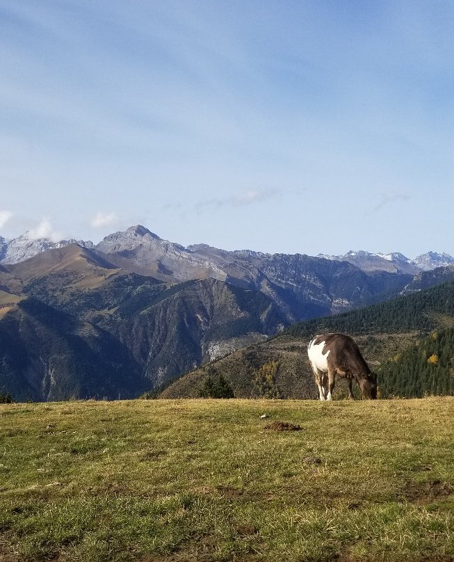 Hotel Sorrosal主图