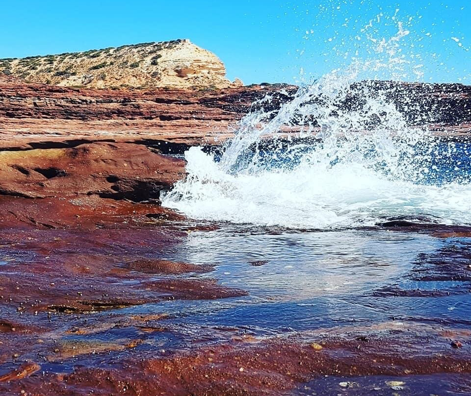鹈鹕巢旅馆