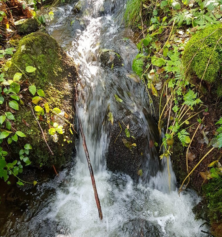 Cascade du Trador景点图片