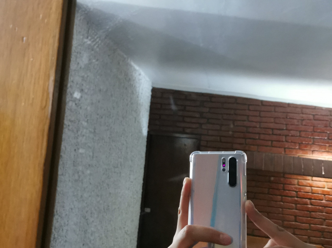 Hotel Plaza Palmas主图