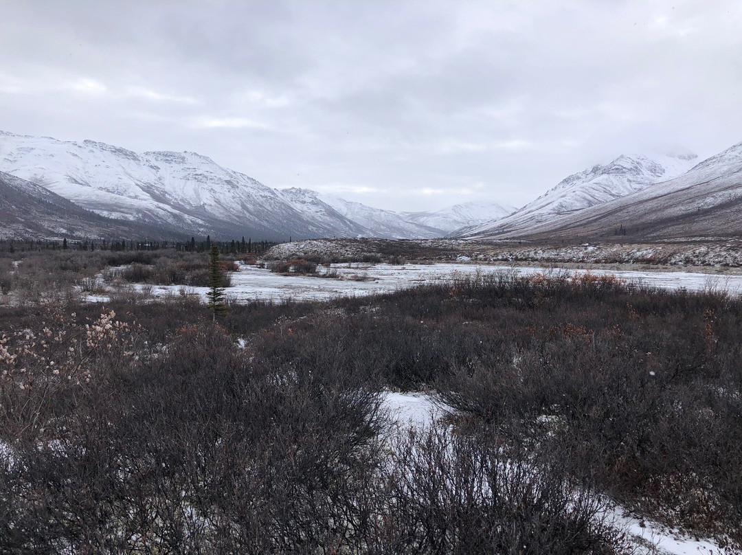 Tombstone Territorial Park-道森市必去景点