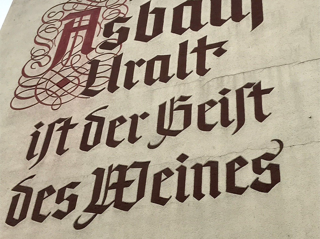 Vinothek Rheinweinwelt Ruedesheim-吕德斯海姆必去景点