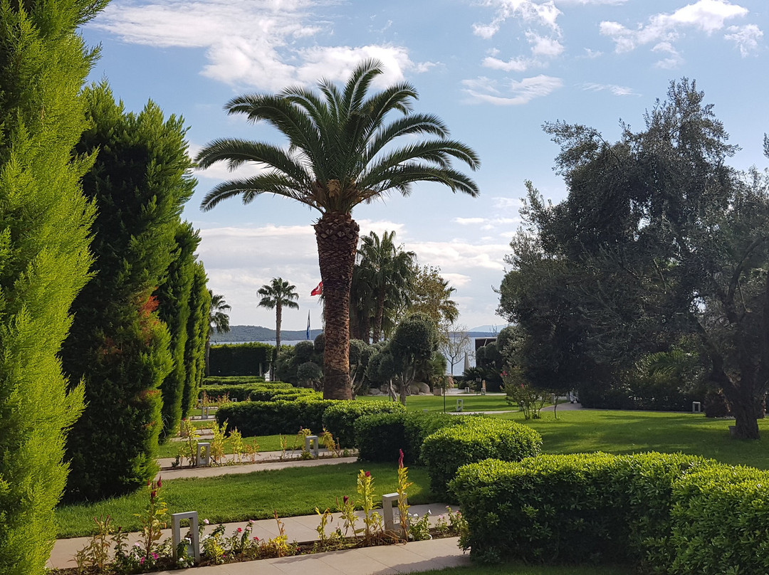 Ortunc Hotel - Cunda Island主图
