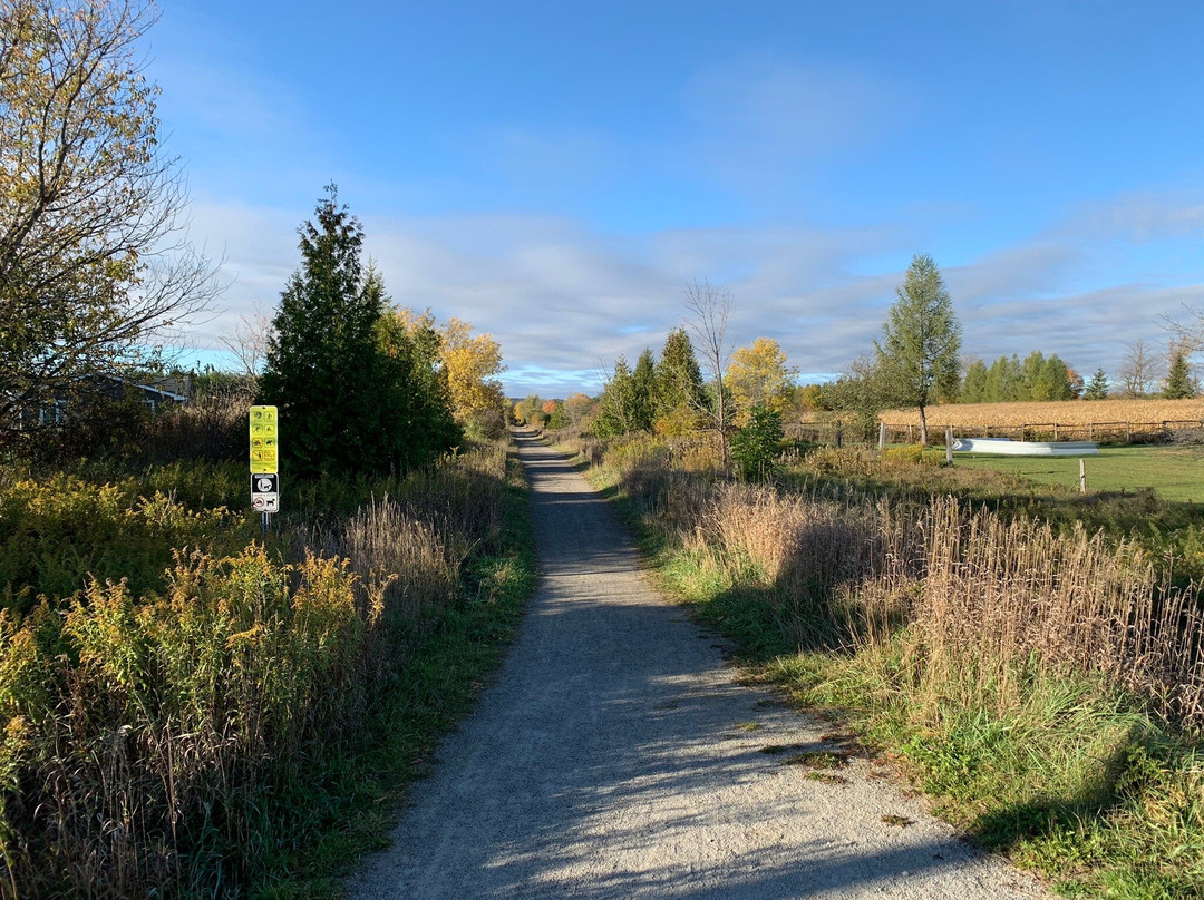 Elora Cataract Trailway-伊劳拉必去景点